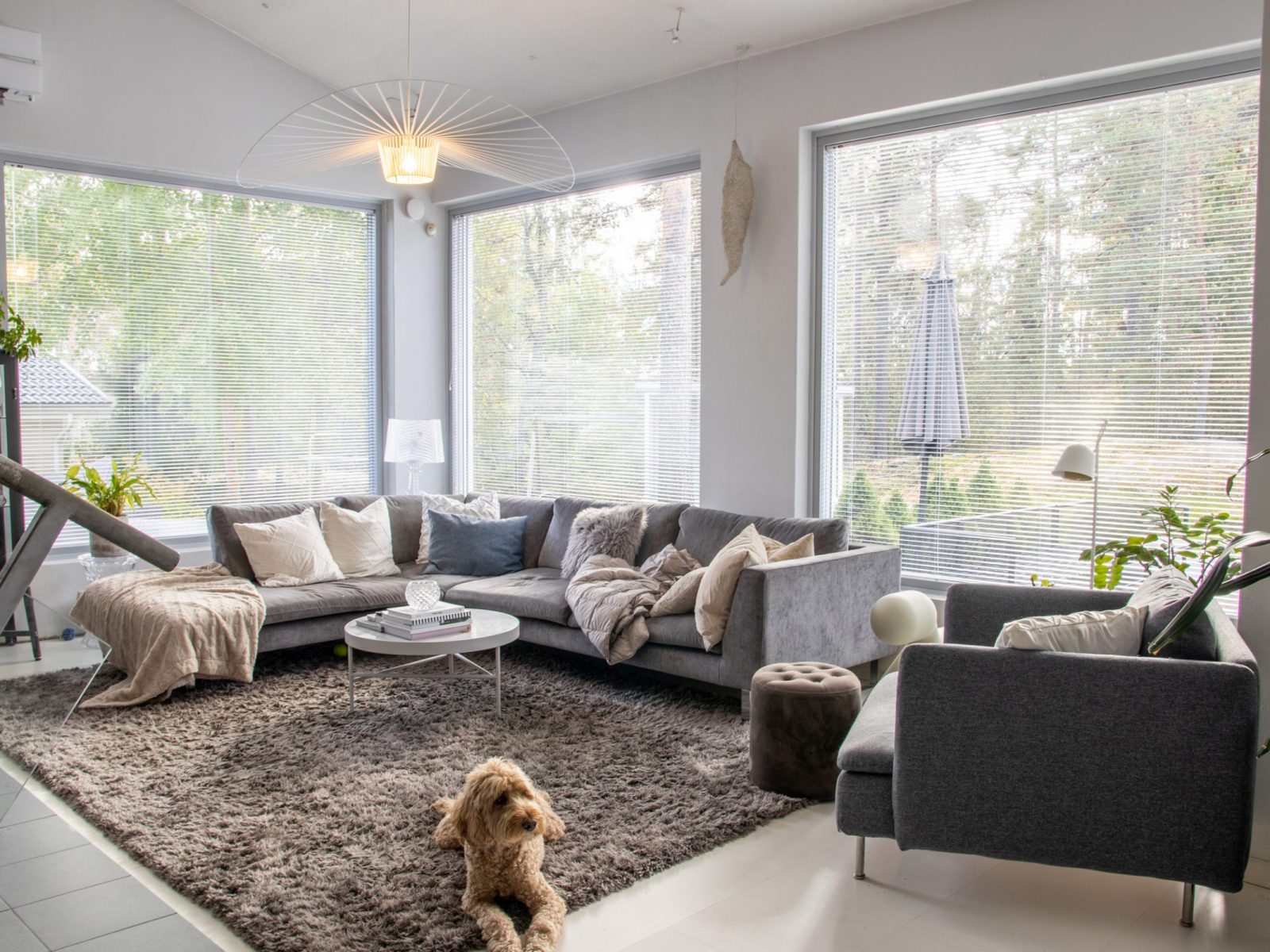 Harmoniaa sisustukseen vaaleanharmailla ikkunoilla.