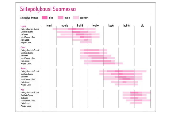 Kuvituskuva Suomen siitepölytilanteesta kasvin ja alueen mukaan